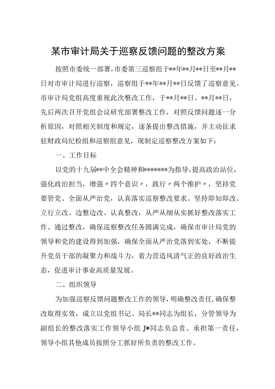 某市审计局关于巡察反馈问题的整改方案.docx_第1页