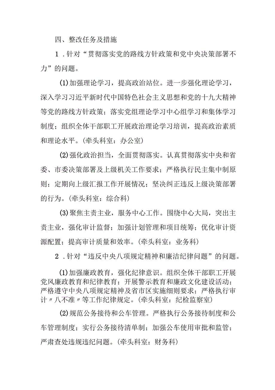 某市审计局关于巡察反馈问题的整改方案.docx_第3页