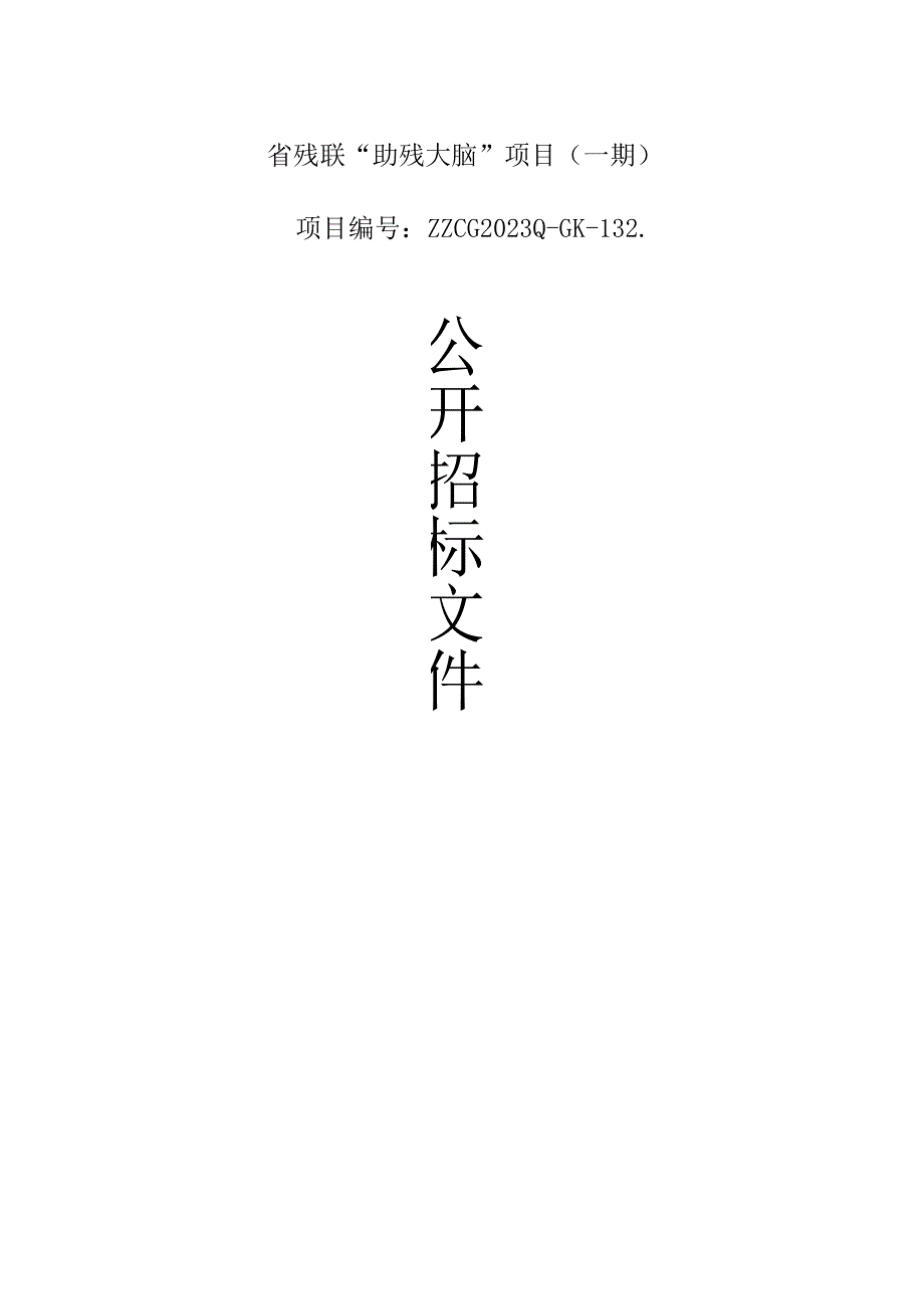 省残联“助残大脑”项目（一期）+招标文件.docx_第1页