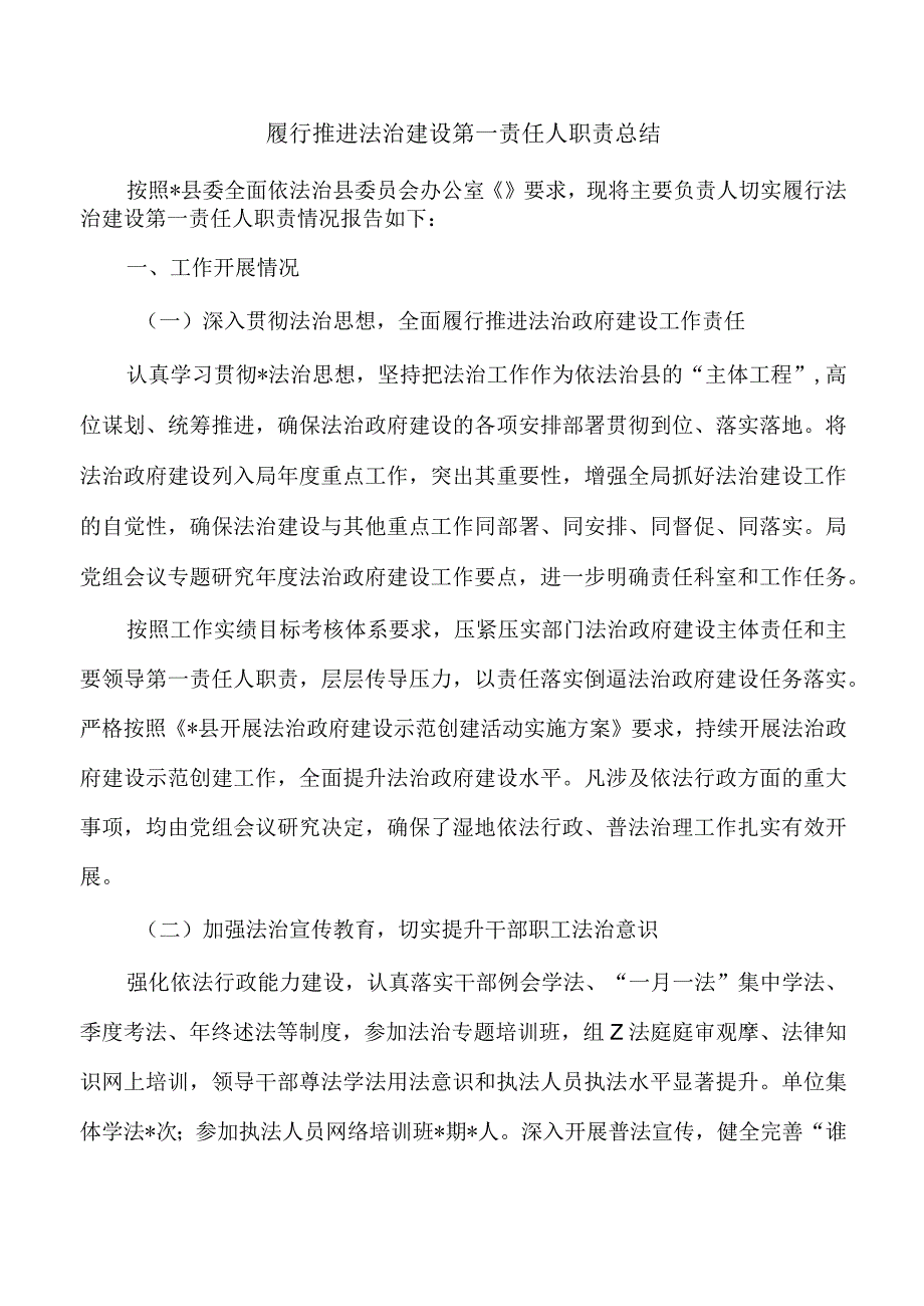 履行推进法治建设第一责任人职责总结.docx_第1页