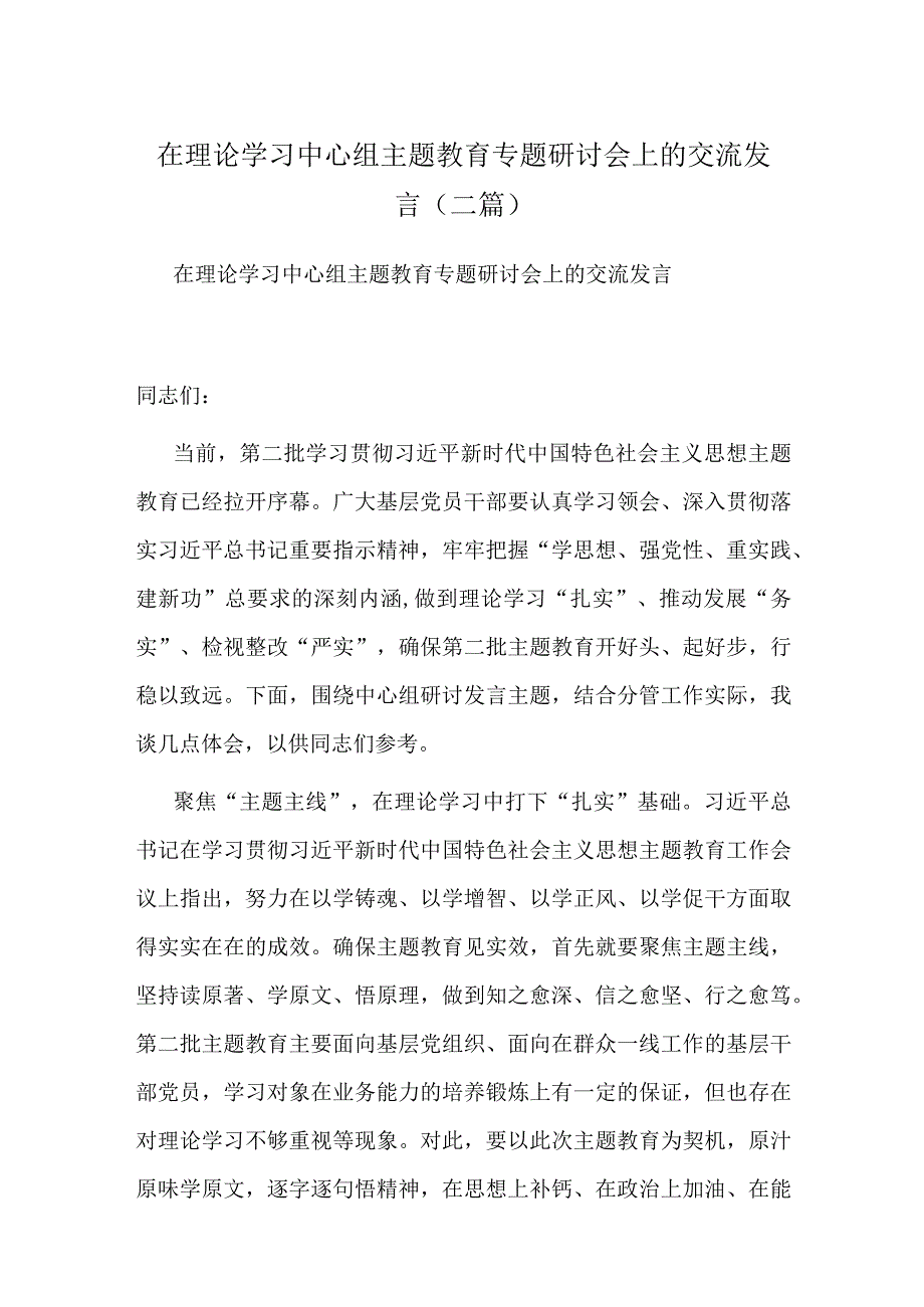 在理论学习中心组主题教育专题研讨会上的交流发言(二篇).docx_第1页