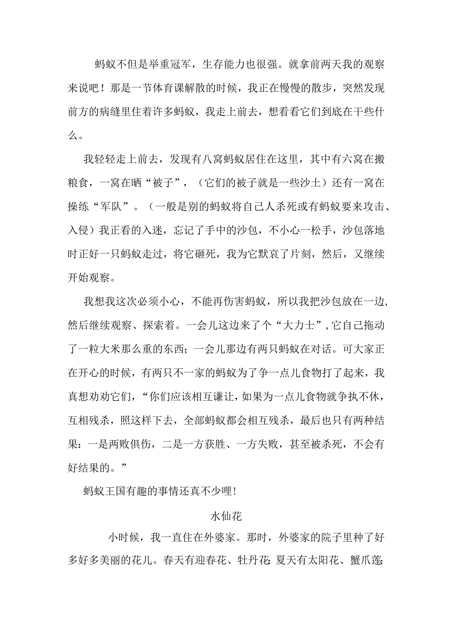 我发现了消灭飞蚁的“秘诀”.docx_第2页