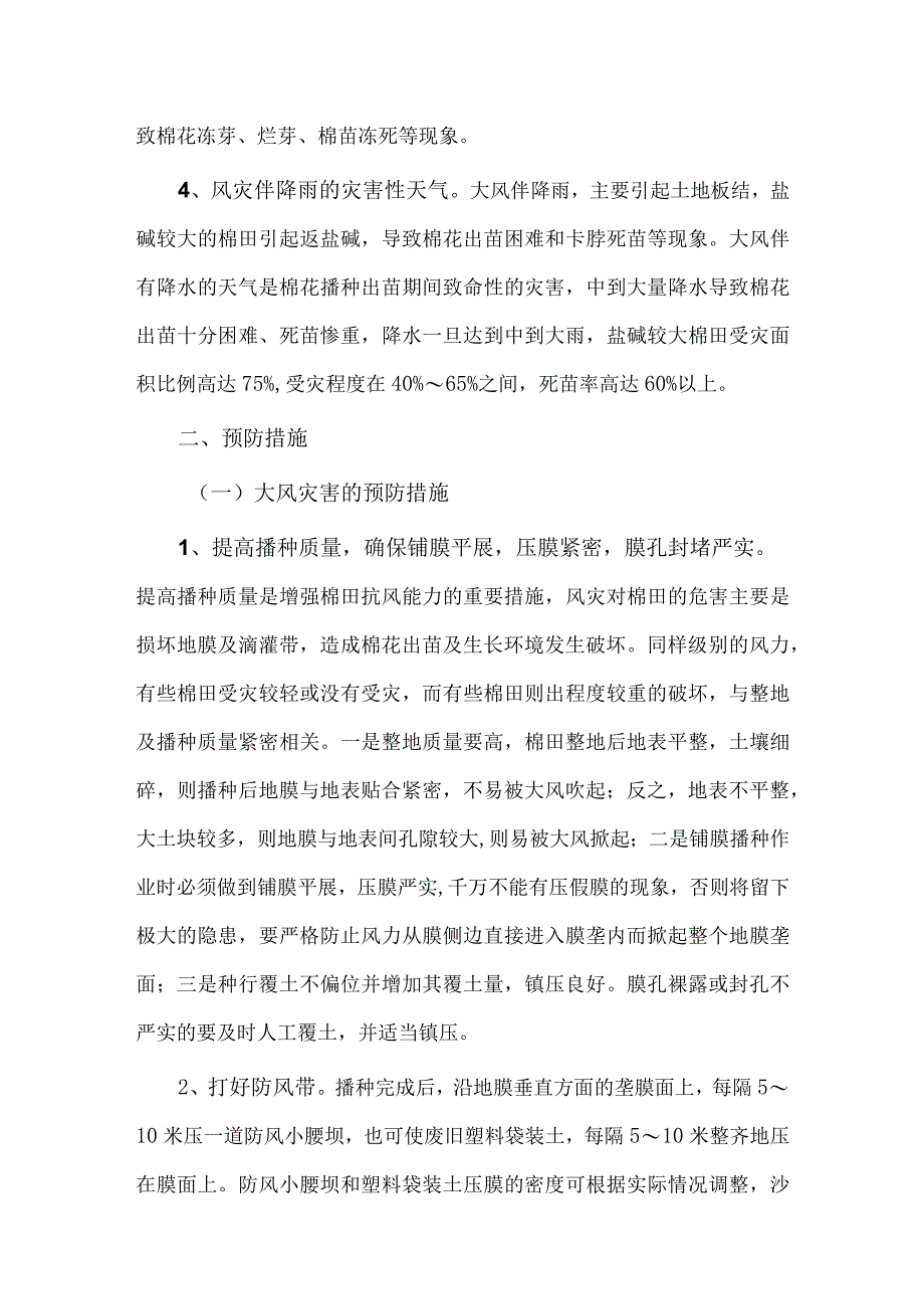 棉花遭受风灾的预防措施.docx_第2页