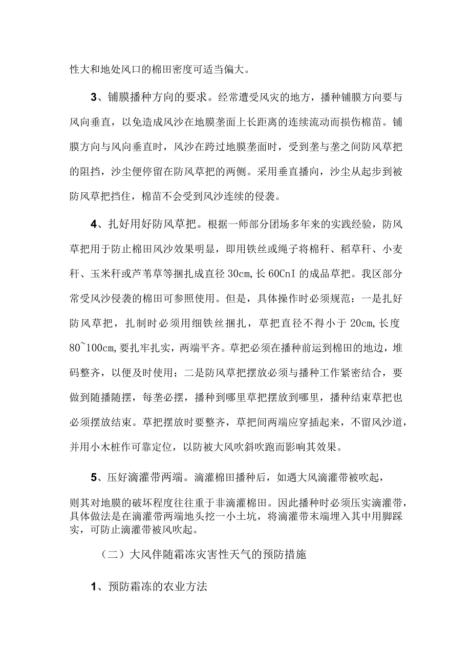 棉花遭受风灾的预防措施.docx_第3页