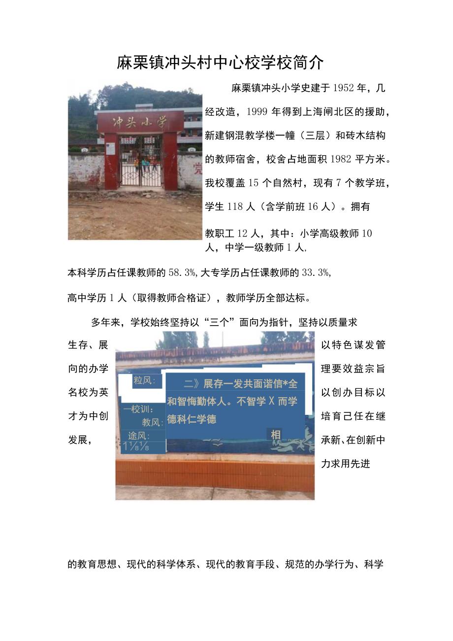 2.麻栗镇冲头村中心学校学校简介.docx_第1页