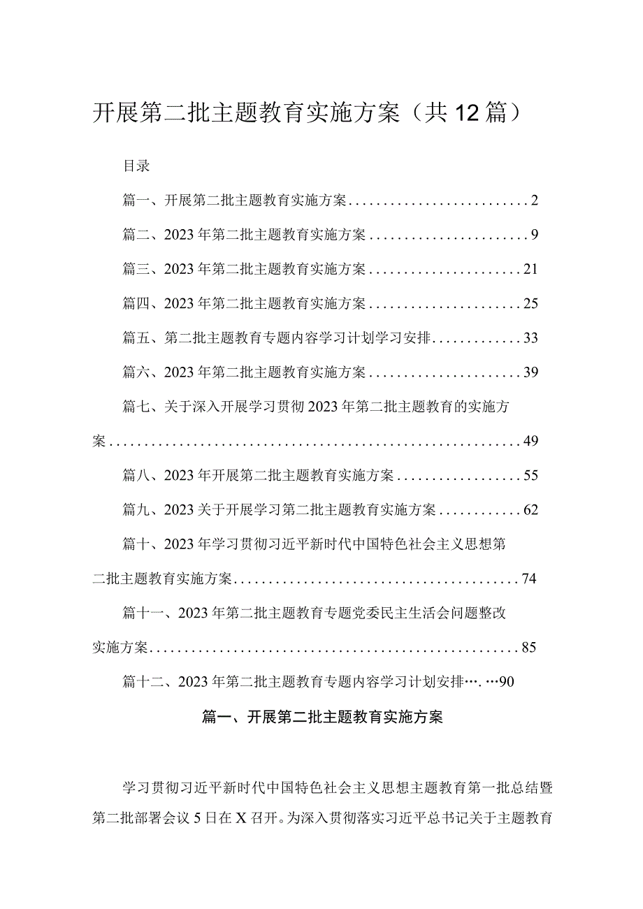 2023开展第二批主题教育实施方案（共12篇）.docx_第1页