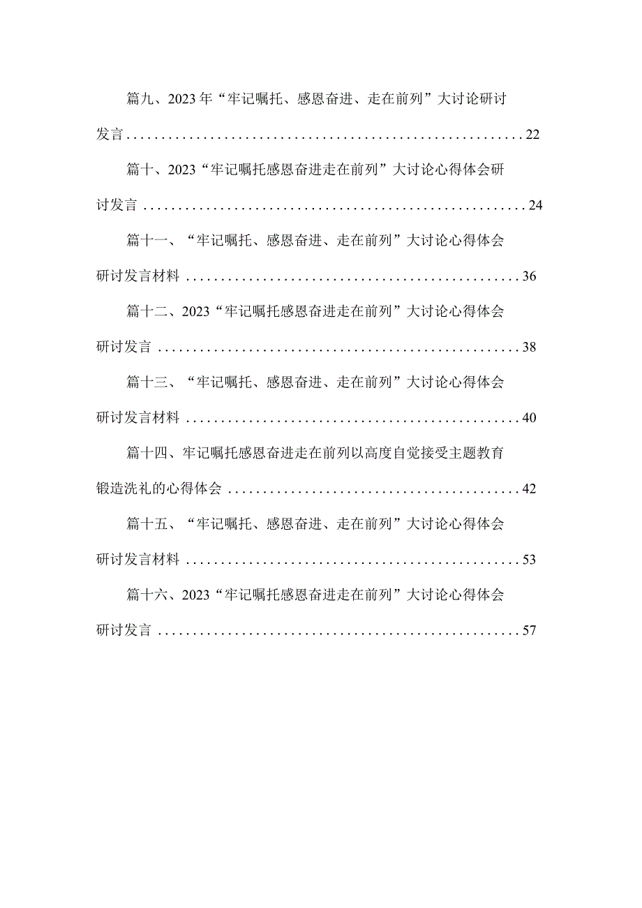 2023年“牢记嘱托、感恩奋进、走在前列”大讨论心得体会研讨发言材料最新版16篇合辑.docx_第2页