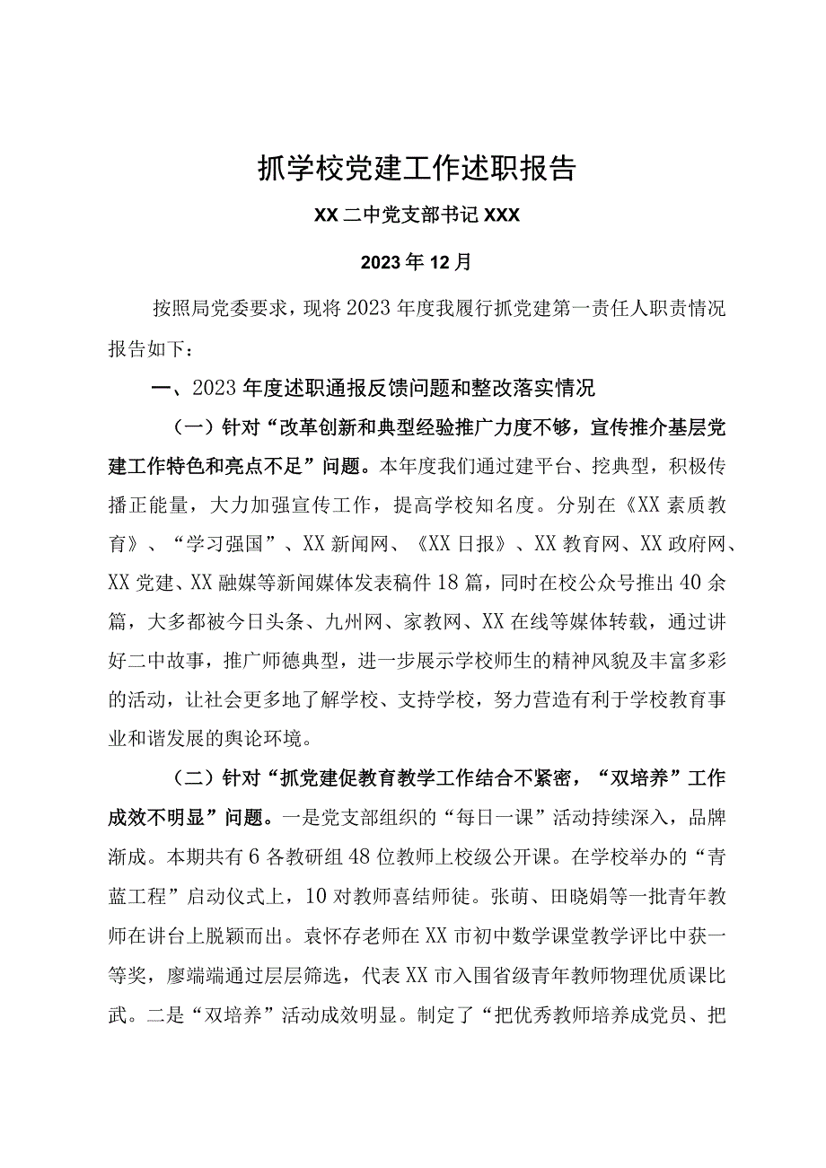 XX二中党支部书记抓党建述职报告.docx_第1页