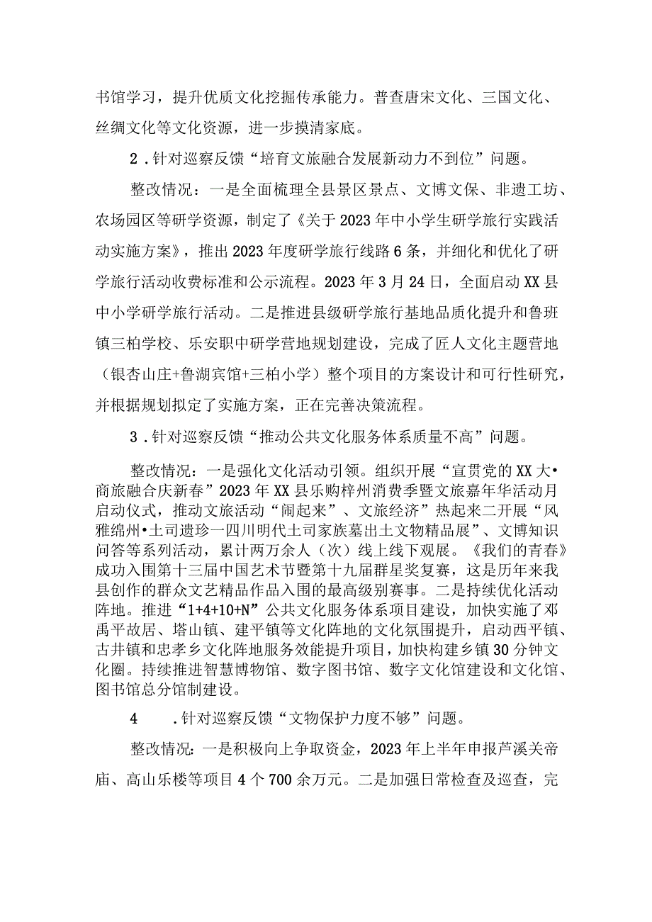 XX县文化广播电视和旅游局关于集中整改进展情况的报告.docx_第3页