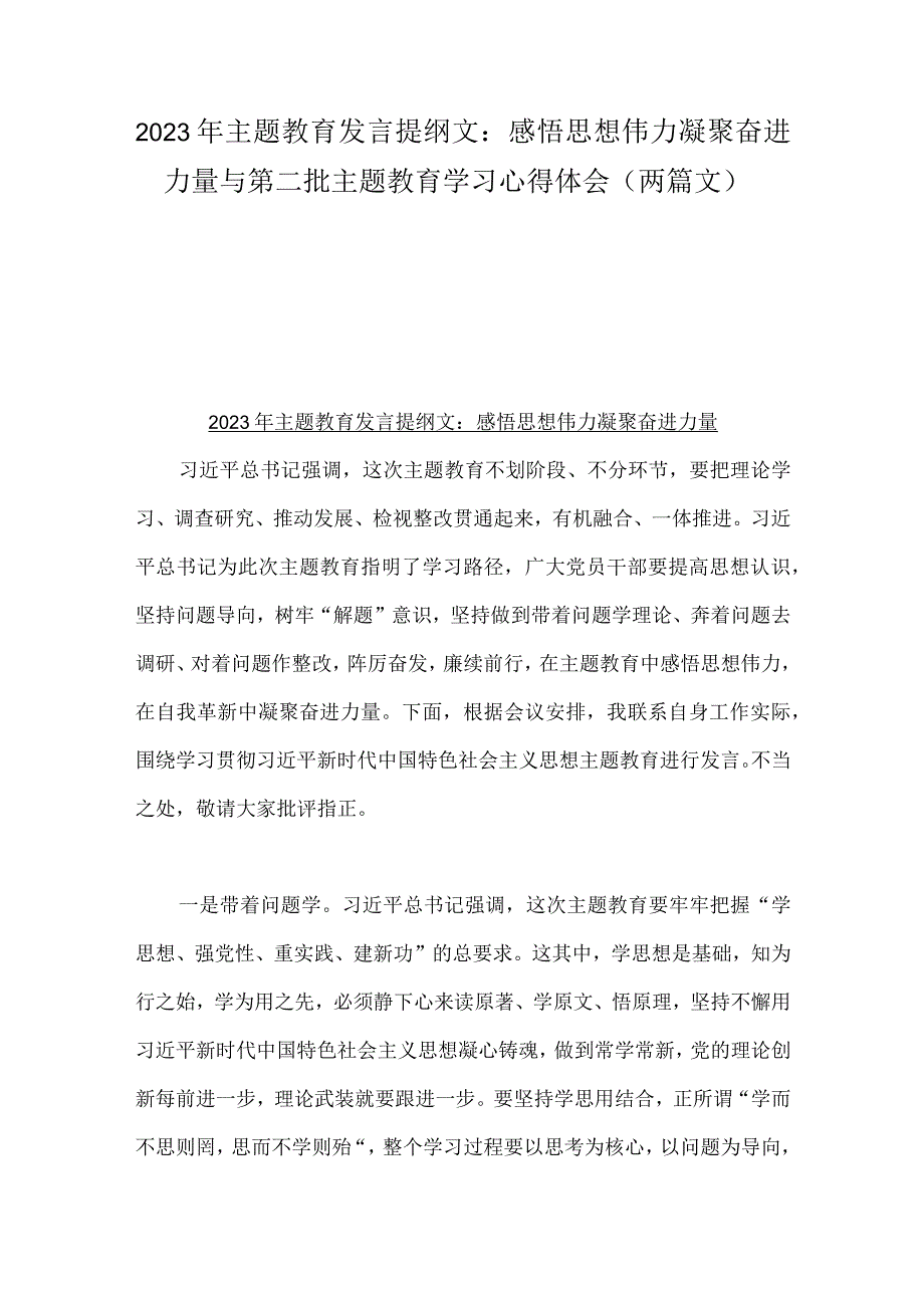 2023年主题教育发言提纲文：感悟思想伟力凝聚奋进力量与第二批主题教育学习心得体会（两篇文）.docx_第1页