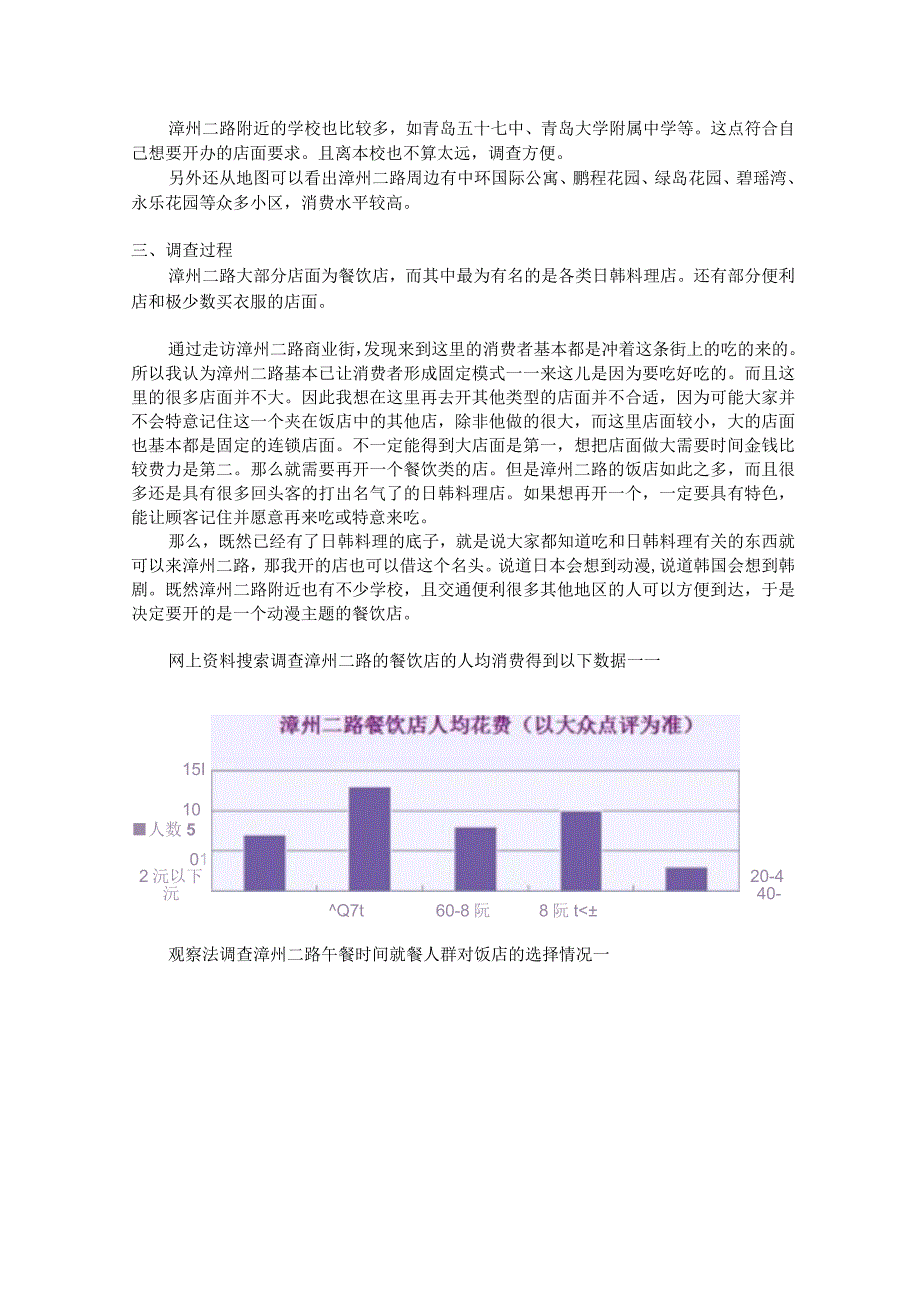 关于漳州二路商业街的调查报告.docx_第2页