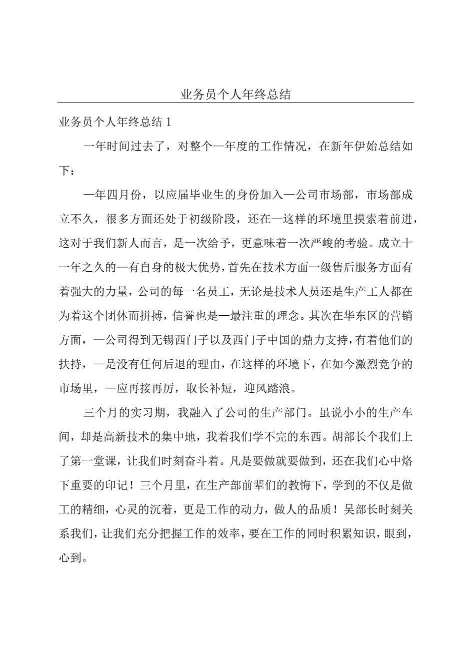 业务员个人年终总结.docx_第1页