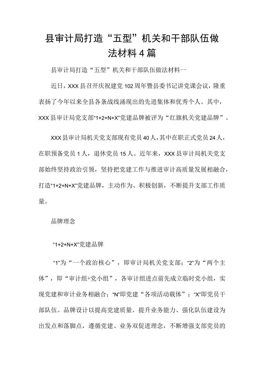 县审计局打造“五型”机关和干部队伍做法材料4篇.docx_第1页