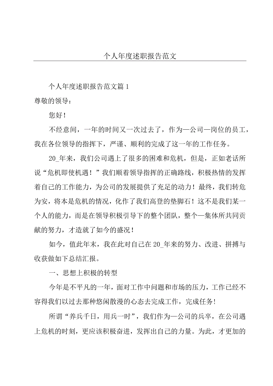 个人年度述职报告范文.docx_第1页