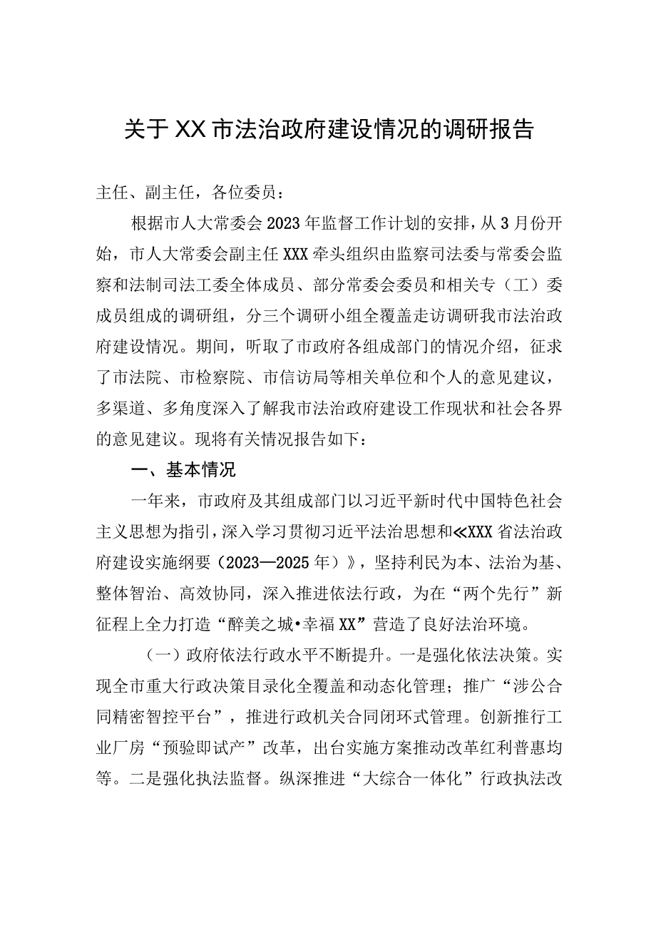 关于XX市法治政府建设情况的调研报告.docx_第1页