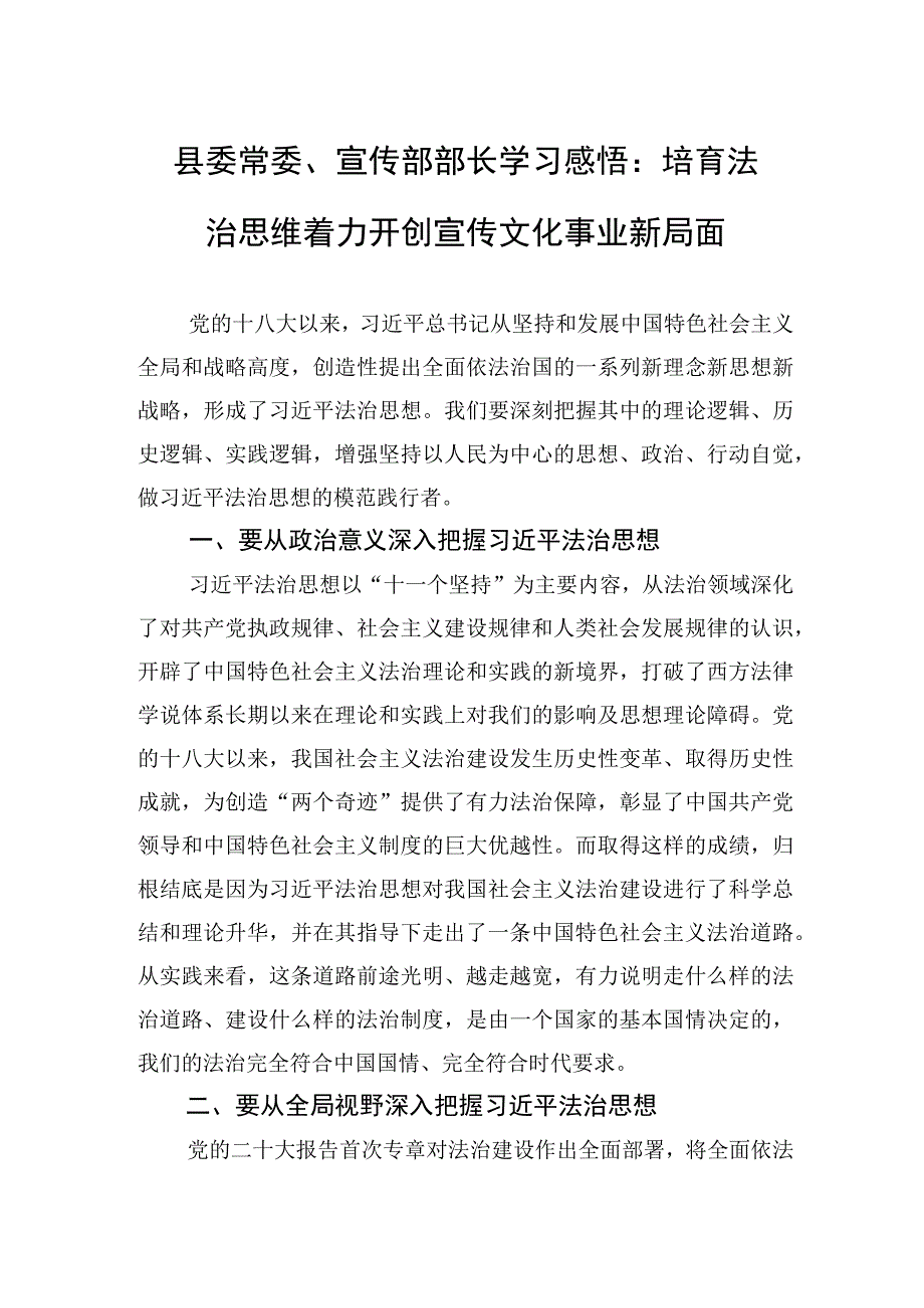 学习感悟：培育法治思维+ 着力开创宣传文化事业新局面（宣传部长）.docx_第1页