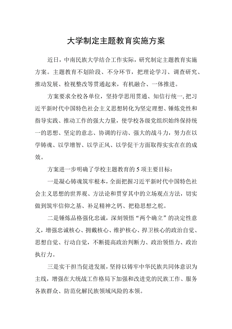 大学制定主题教育实施方案.docx_第1页