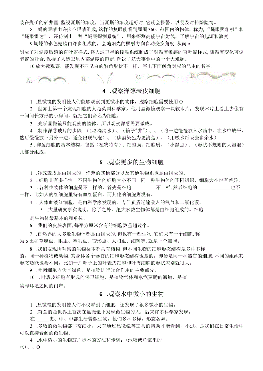 小学科学教科版六年级上册第一单元《微小世界》知识点填空练习（分课时编排）.docx_第2页