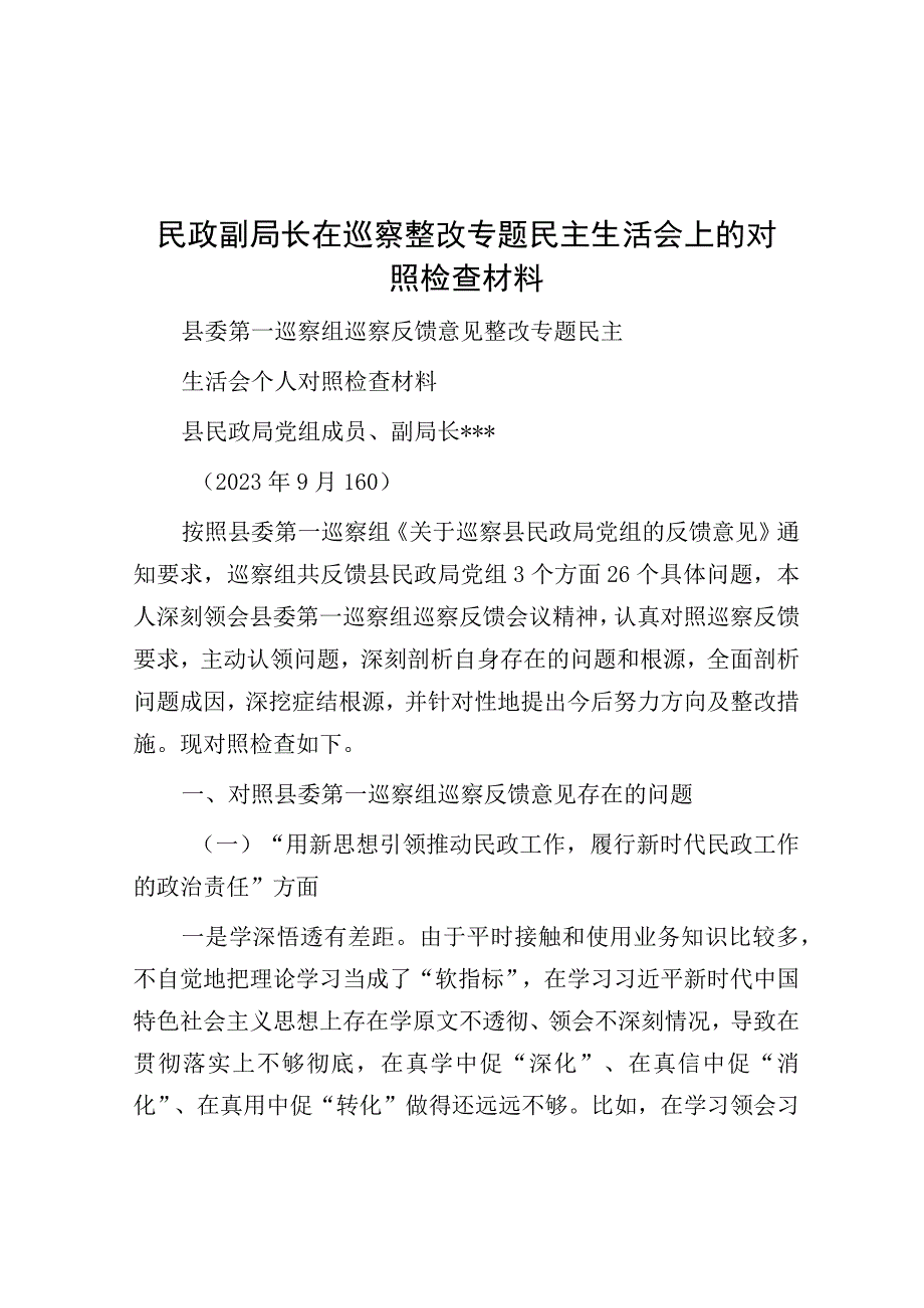 在巡察整改专题民主生活会上的对照检查材料（民政副局长）.docx_第1页