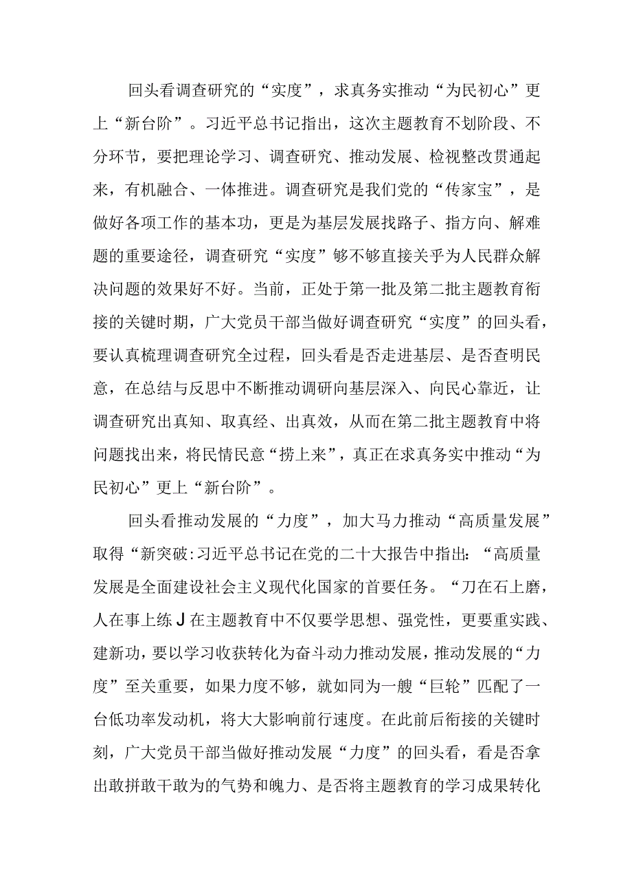 开展第一批主题教育回头看心得体会.docx_第2页