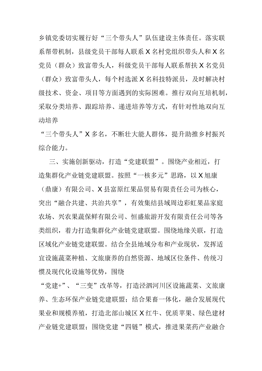 经验做法：织密基层组织体系 激活乡村振兴引擎.docx_第3页