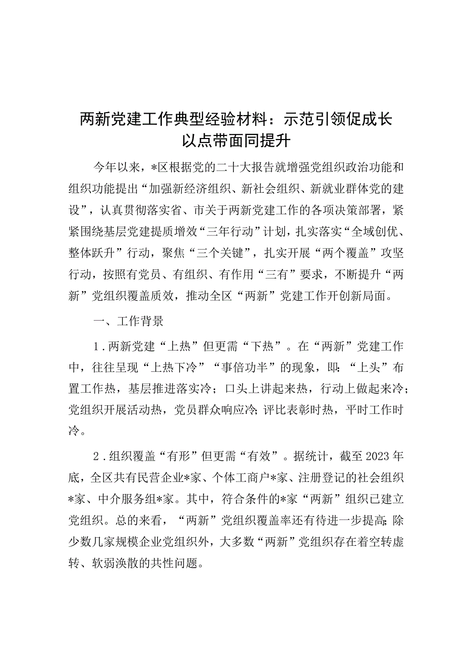 经验做法：示范引领促成长 以点带面同提升（两新党建）.docx_第1页