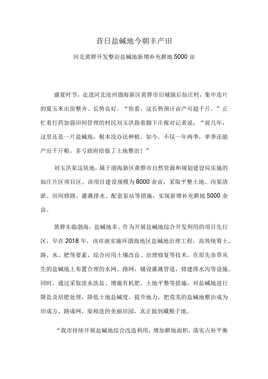 昔日盐碱地 今朝丰产田——河北黄骅开发整治盐碱地新增补充耕地5000亩.docx_第1页