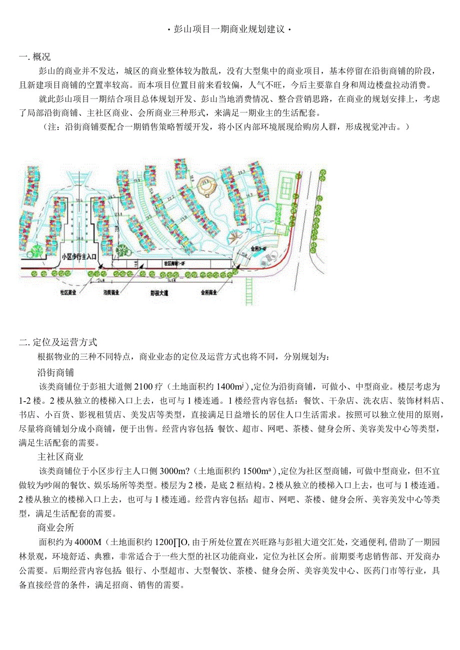 彭山项目一期商业规划建议.docx_第1页