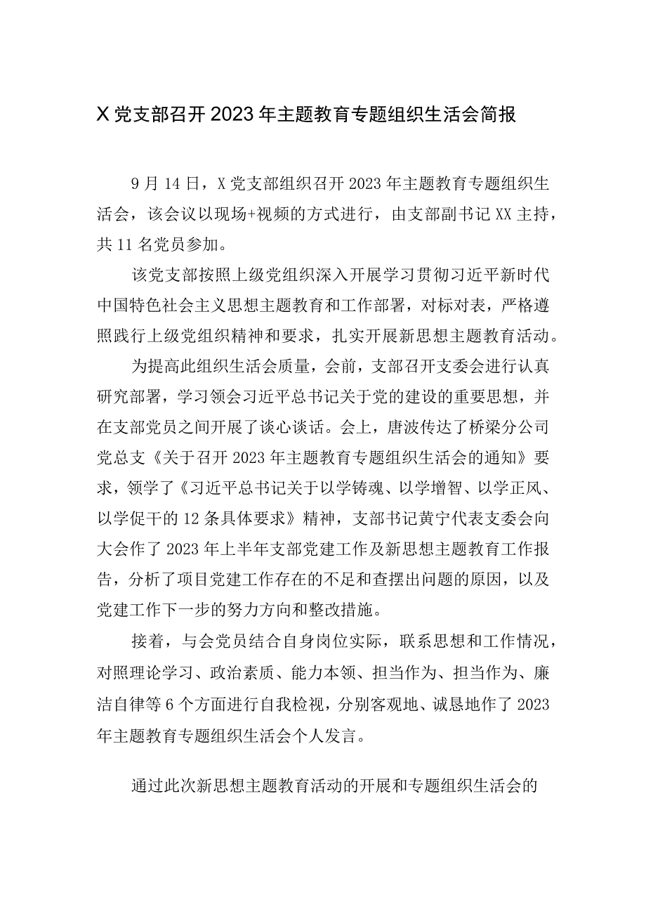 X党支部召开2023年主题教育专题组织生活会简报.docx_第1页