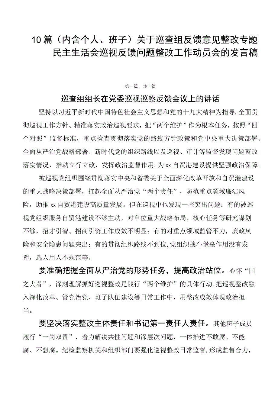 10篇关于巡查组反馈意见整改专题民主生活会巡视反馈问题整改工作动员会的发言稿.docx_第1页