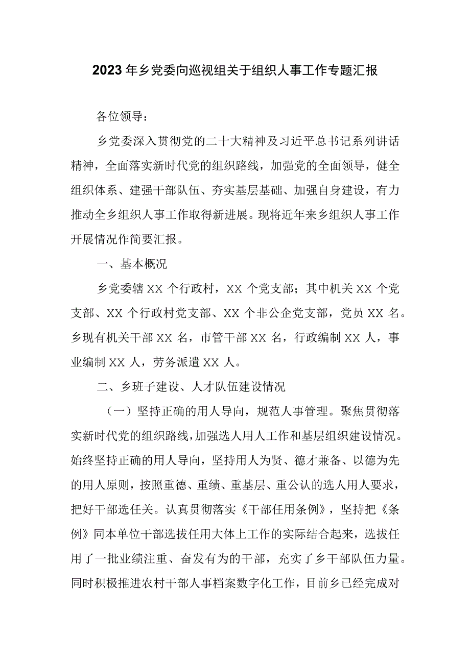 2023年乡党委向巡视组关于组织人事工作专题汇报.docx_第1页