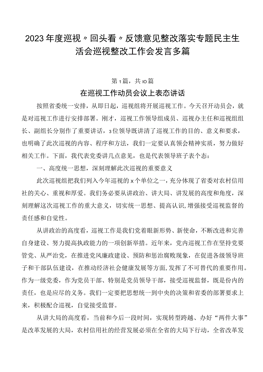 2023年度巡视“回头看”反馈意见整改落实专题民主生活会巡视整改工作会发言多篇.docx_第1页