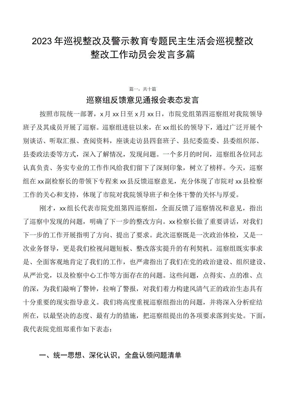 2023年巡视整改及警示教育专题民主生活会巡视整改整改工作动员会发言多篇.docx_第1页