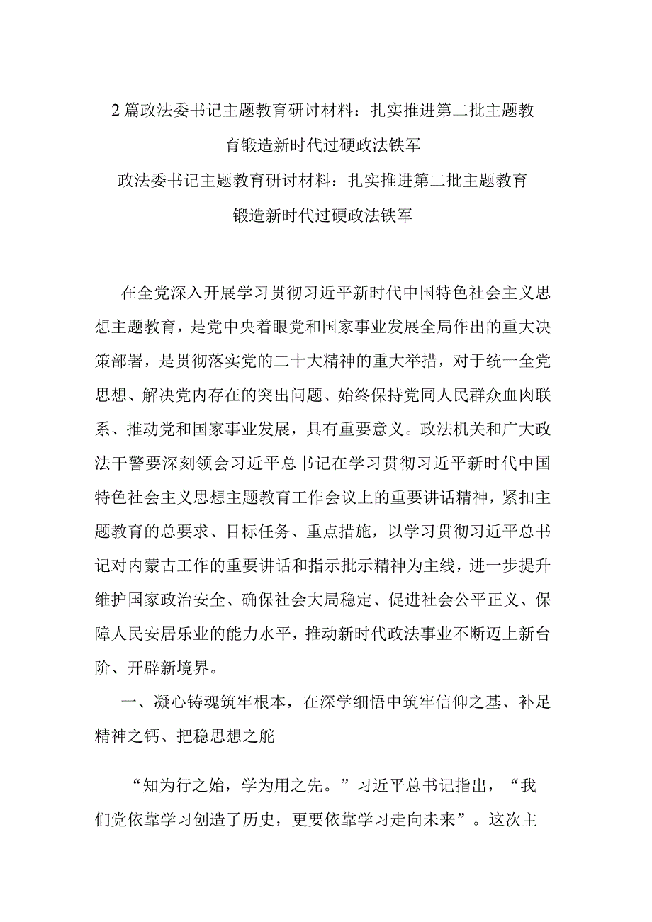 2篇政法委书记主题教育研讨材料：扎实推进第二批主题教育 锻造新时代过硬政法铁军.docx_第1页