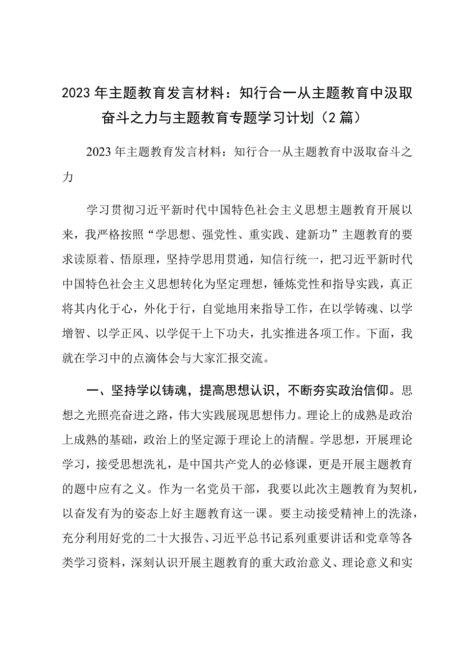 2023年主题教育发言材料：知行合一从主题教育中汲取奋斗之力与主题教育专题学习计划(2篇).docx_第1页