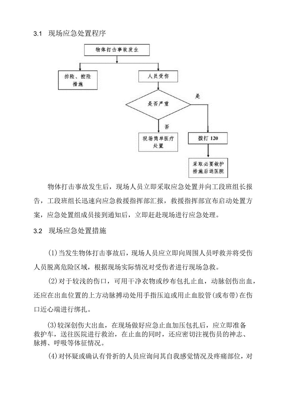 10.物体打击事故现场处置方案.docx_第3页