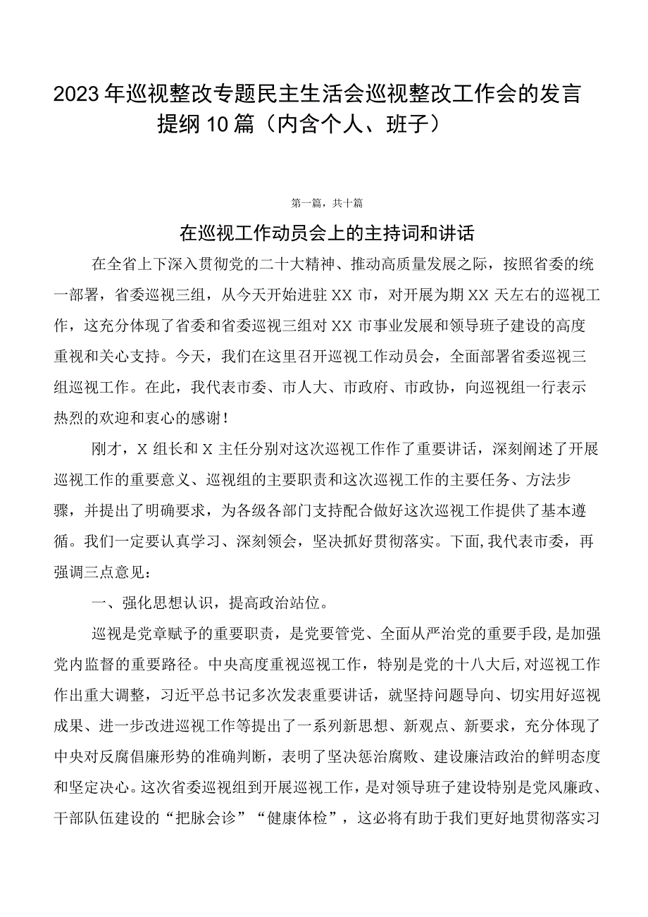 2023年巡视整改专题民主生活会巡视整改工作会的发言提纲10篇.docx_第1页