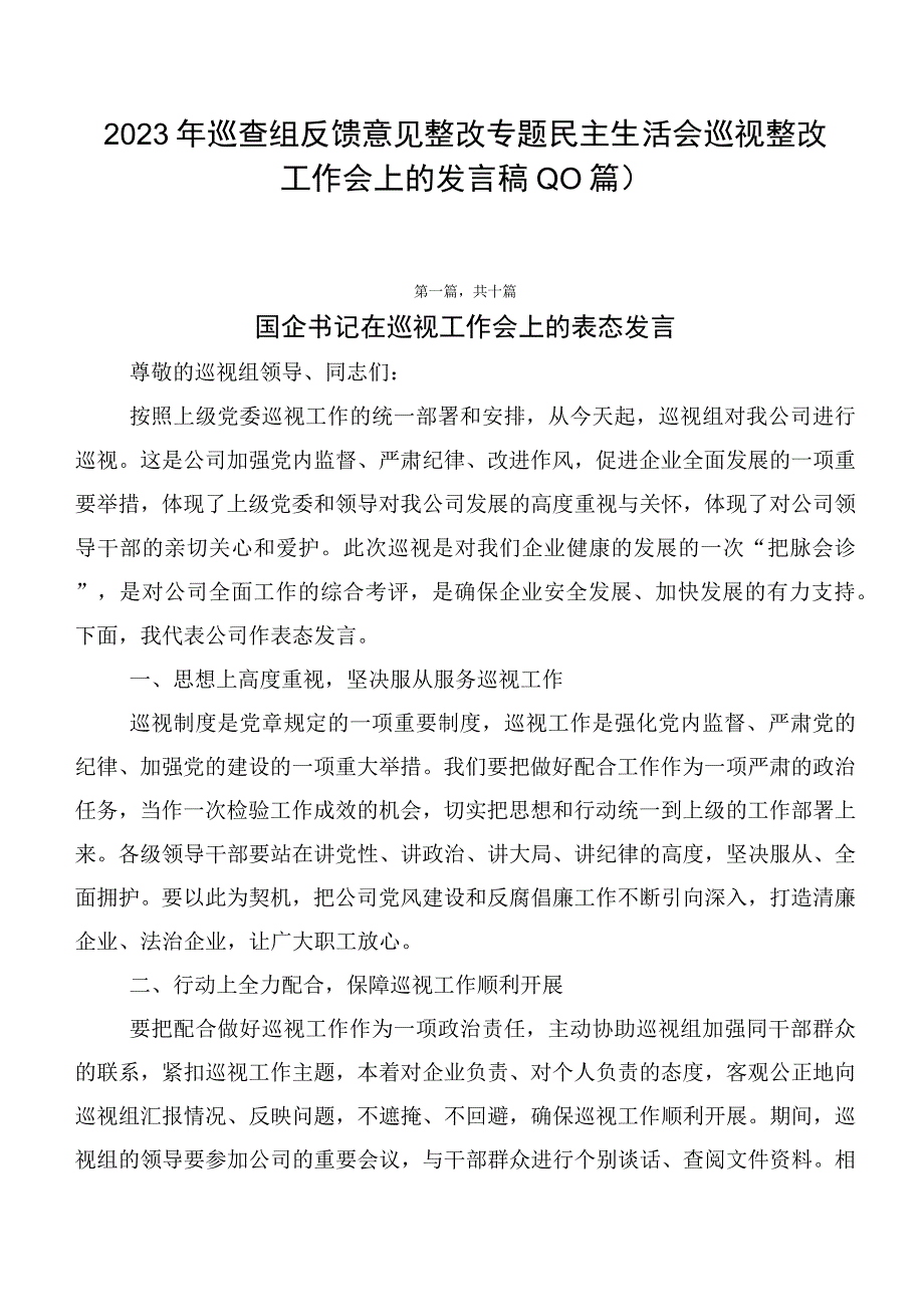 2023年巡查组反馈意见整改专题民主生活会巡视整改工作会上的发言稿（10篇）.docx_第1页