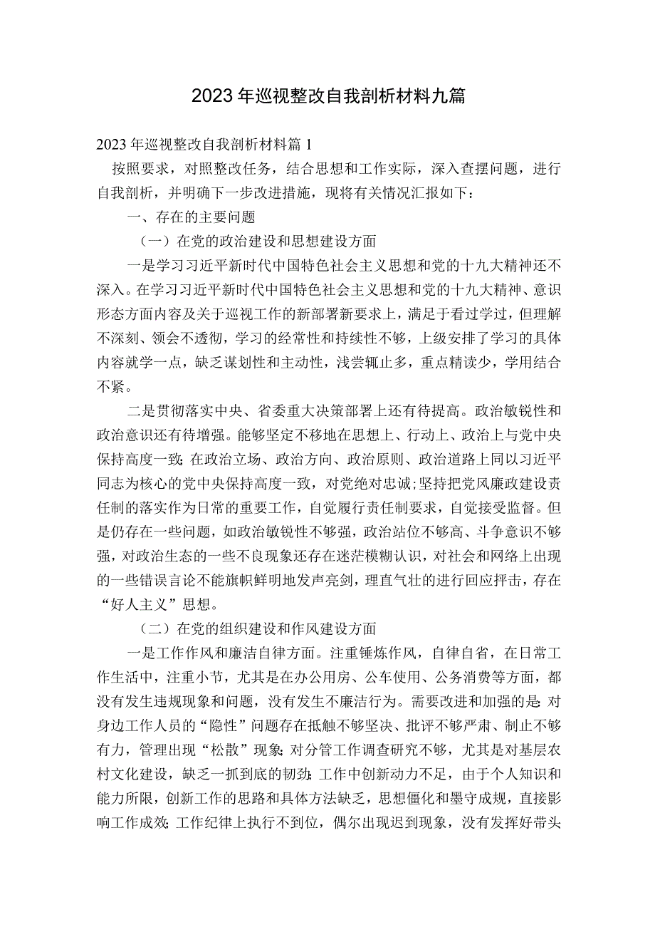 2023年巡视整改自我剖析材料九篇.docx_第1页