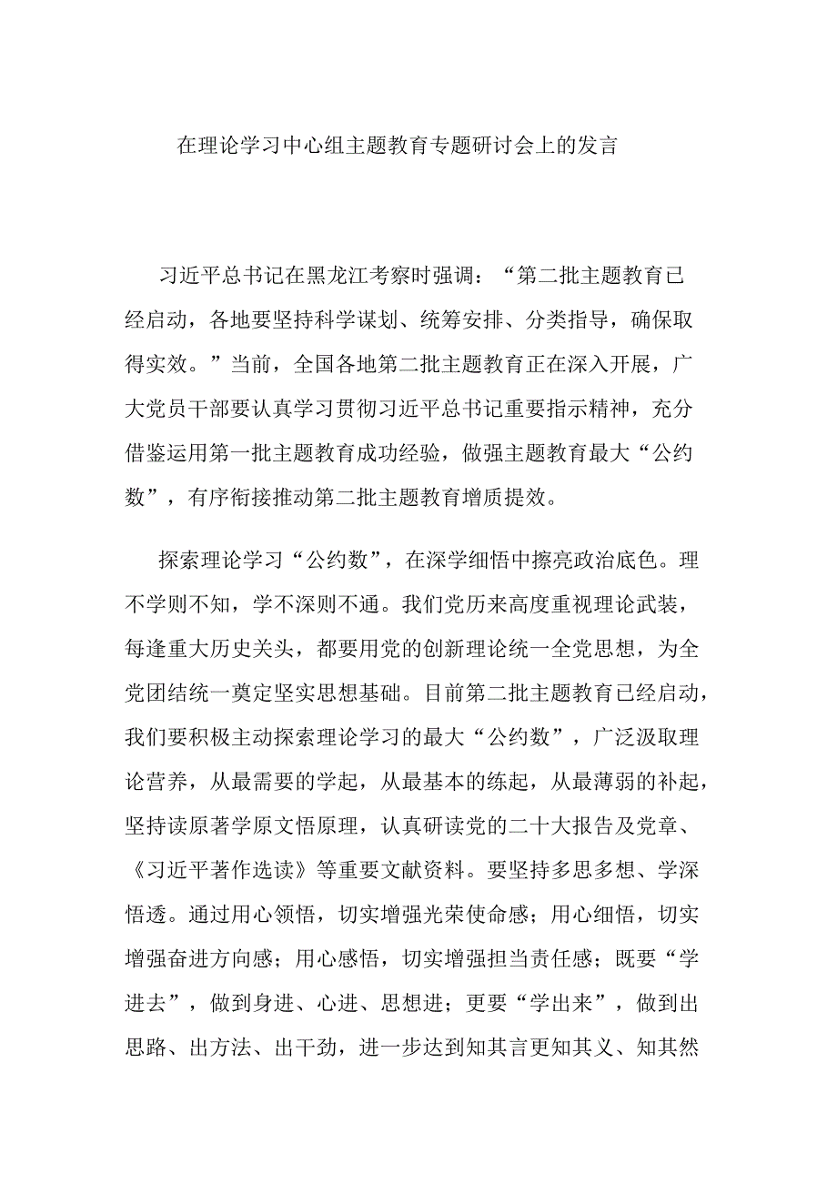 在理论学习中心组主题教育专题研讨会上的发言.docx_第1页