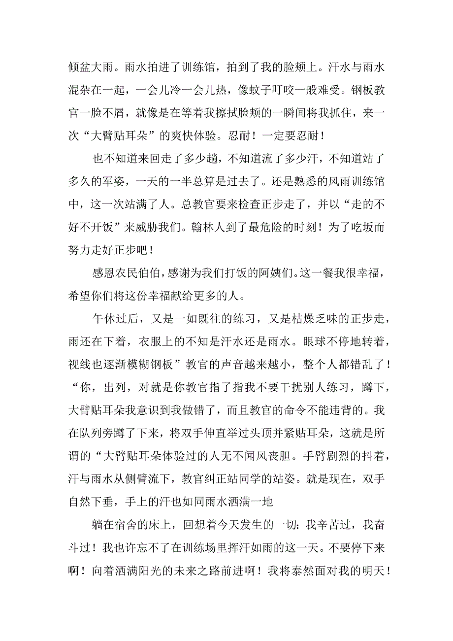 新生军训体验心得.docx_第2页