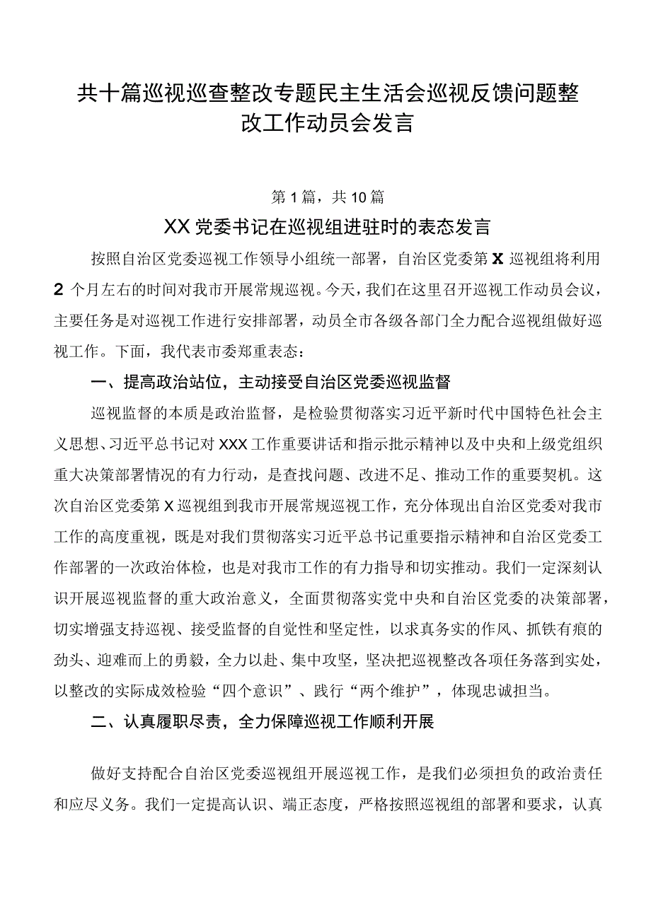 共十篇巡视巡查整改专题民主生活会巡视反馈问题整改工作动员会发言.docx_第1页