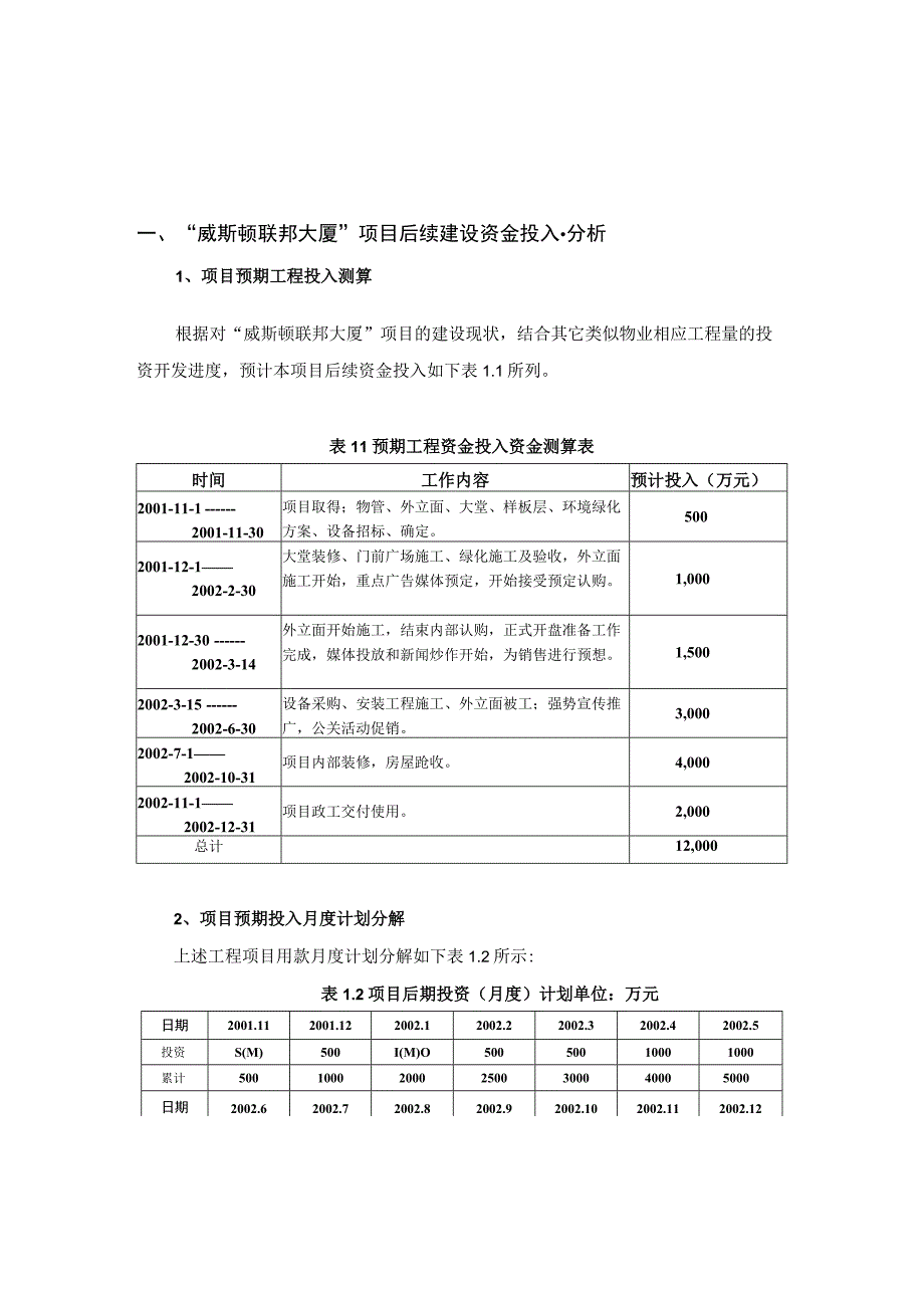 威斯顿联邦大厦投资策略.docx_第1页