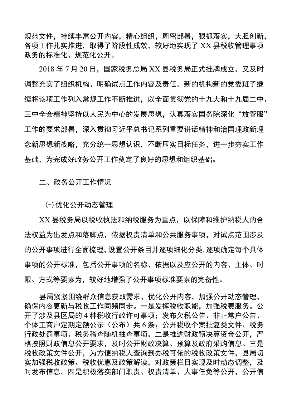 税务局政务公开工作自查自检报告.docx_第2页