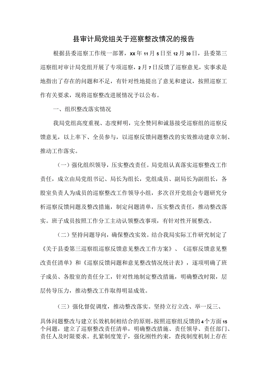 县审计局党组关于巡察整改情况的报告.docx_第1页