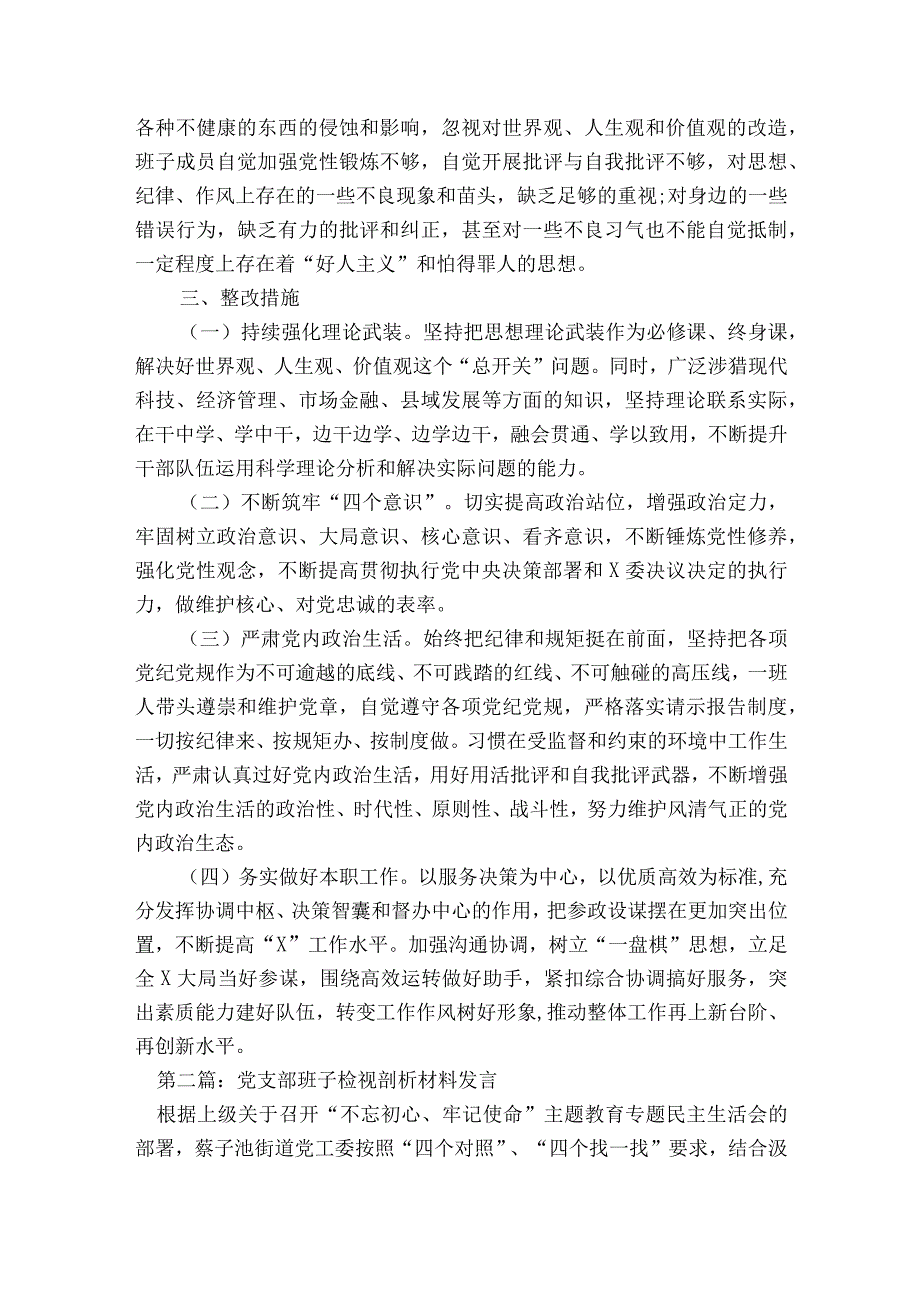 党支部班子检视剖析材料发言六篇.docx_第3页