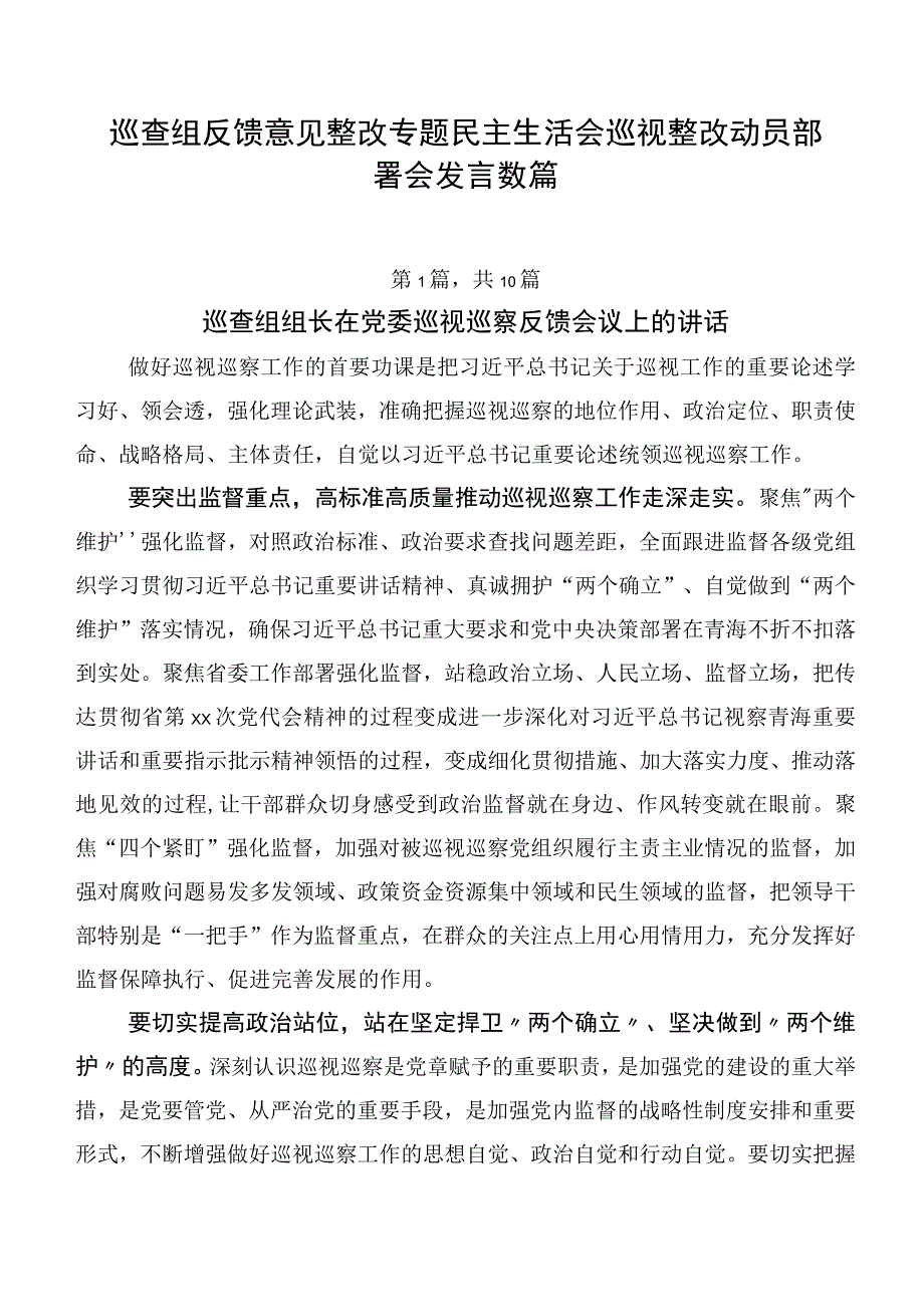 巡查组反馈意见整改专题民主生活会巡视整改动员部署会发言数篇.docx_第1页