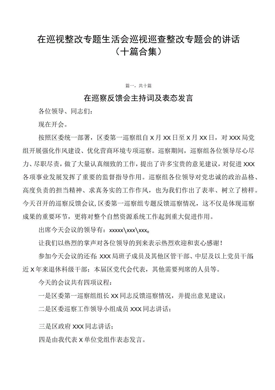 在巡视整改专题生活会巡视巡查整改专题会的讲话（十篇合集）.docx_第1页