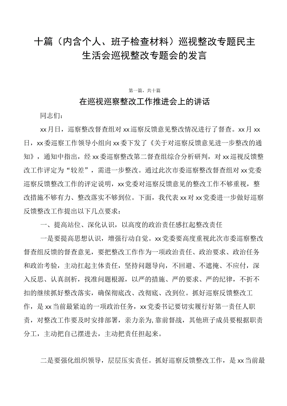 十篇巡视整改专题民主生活会巡视整改专题会的发言.docx_第1页