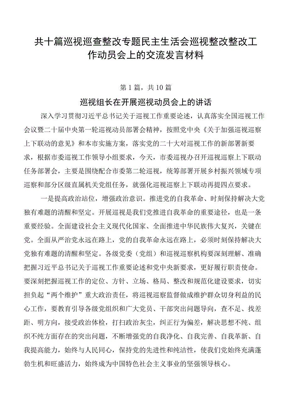 共十篇巡视巡查整改专题民主生活会巡视整改整改工作动员会上的交流发言材料.docx_第1页